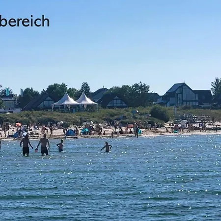 Austernfischer Wendtorf