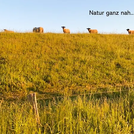 Austernfischer Апартаменты *