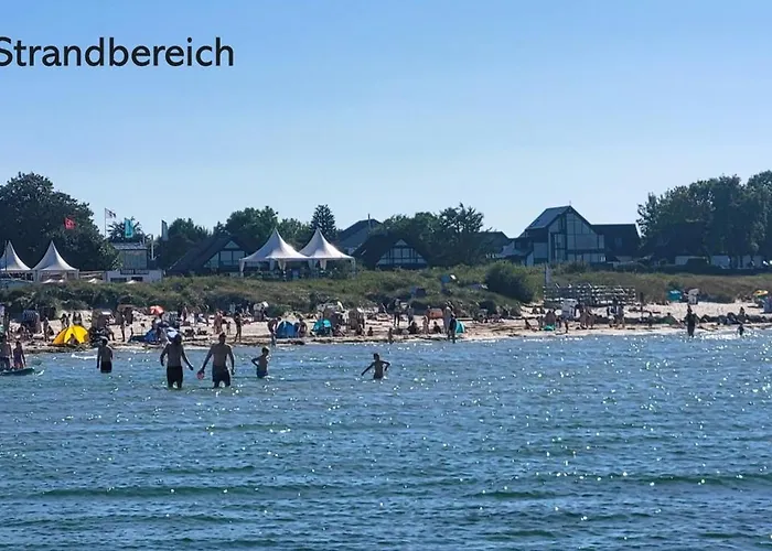 Austernfischer Wendtorf