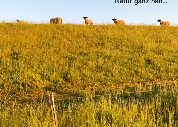 Austernfischer Apartamento *