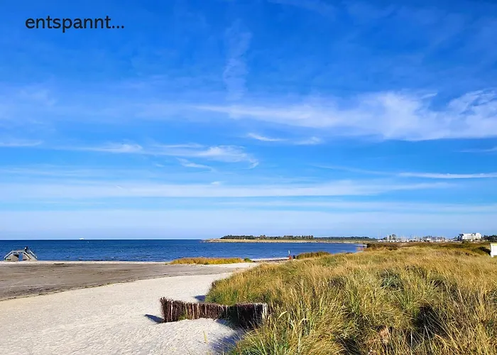 Austernfischer Wendtorf