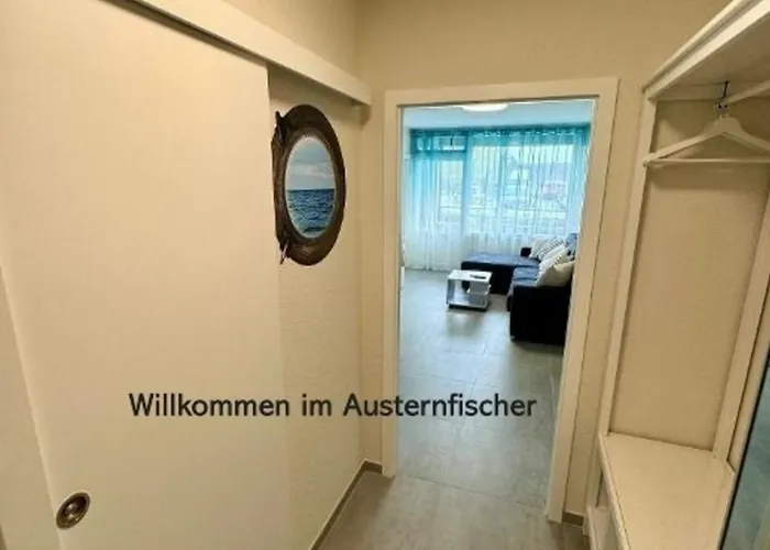 Austernfischer Wendtorf